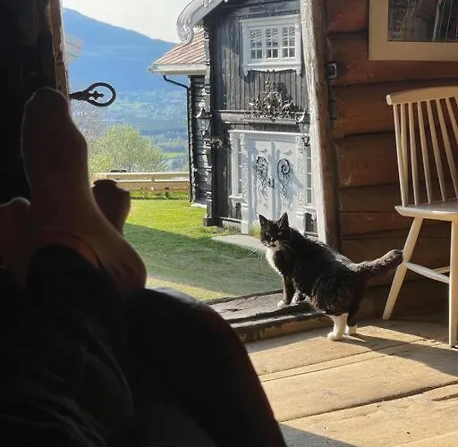 Alpehytte Traditional Barn -stabbur - Wifi Og Sauna Baukal